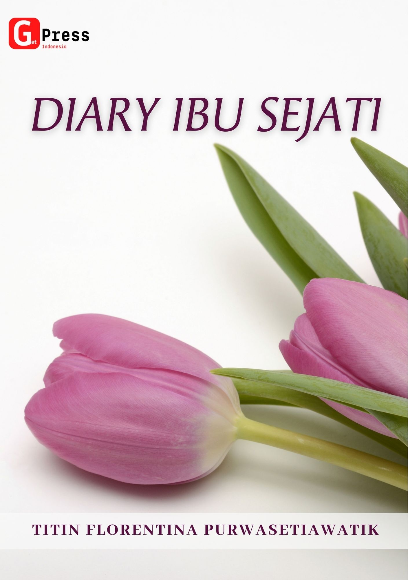 Diary Ibu Sejati